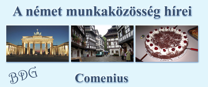 Comenius nemzetközi projekt