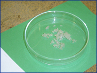 Synthese von Seignettesalz aus rohem Weinstein