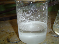Züchtung von Glucose-Natrium-Chlorid Doppelsalz-Einkristallen
