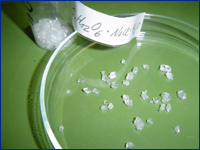 Züchtung von Glucose-Natrium-Chlorid Doppelsalz-Einkristallen