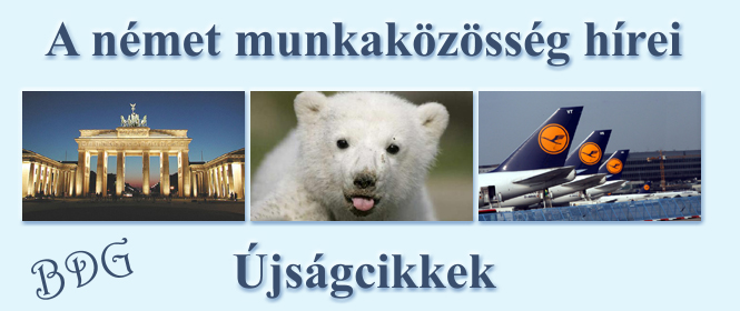 Újságcikkek, válogatás 2007-2008. tél