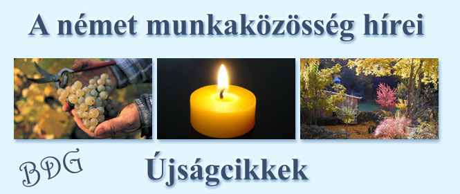 újságcikkek_2010_õsz