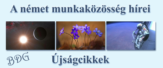 újságcikkek, 2012. õsz