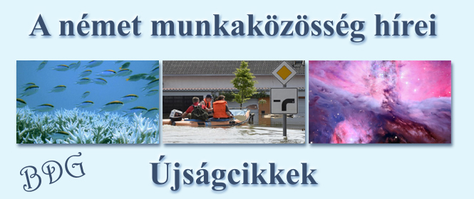 Újságcikkek 2013. nyár