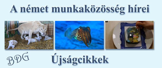 Újságcikkek 2014. nyár