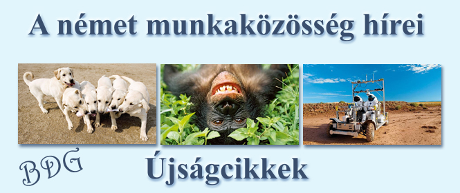 Újságcikkek 2015-16 tél