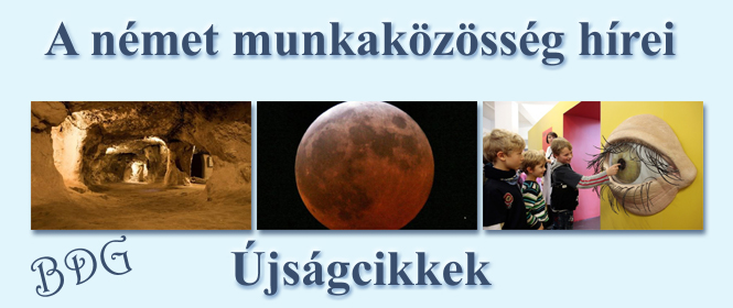 Újságcikkek 2015. õsz