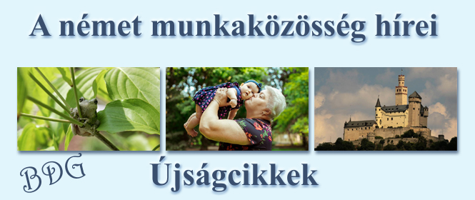 újságcikkek 2016 õsz