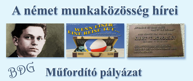 Mûfordító pályázat 2010-2011