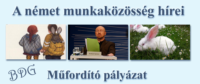 Mûfordító pályázat 2013