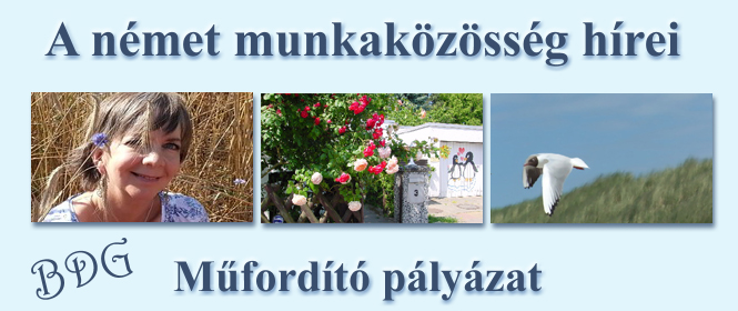 Mûfordító pályázat 2015-16.